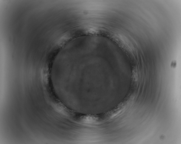 X0000102360223200808151820