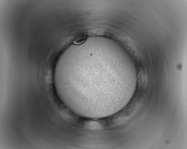 X0000102360224200808151820