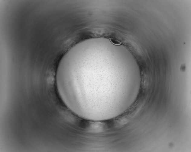 X0000102360226200808151820