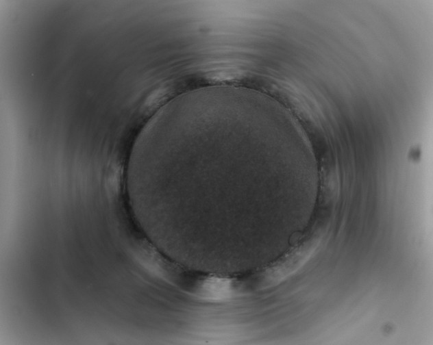 X0000102360227200808151820