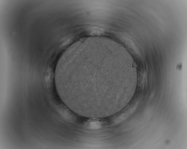 X0000102360228200808151820