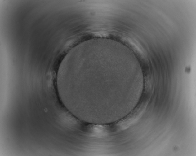 X0000102360229200808151820