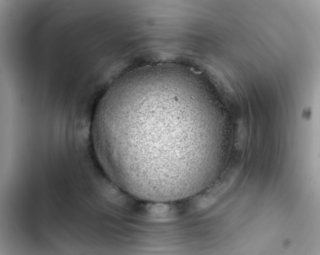 X0000102360230200808151820