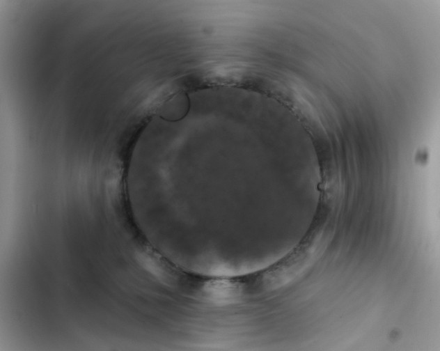 X0000102360231200808151820