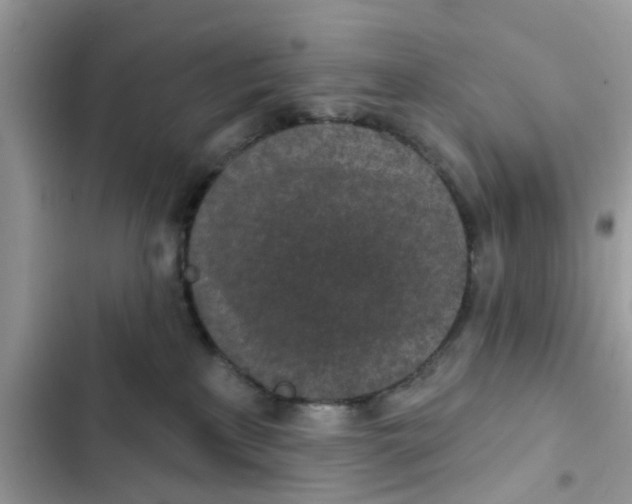 X0000102360233200808151820