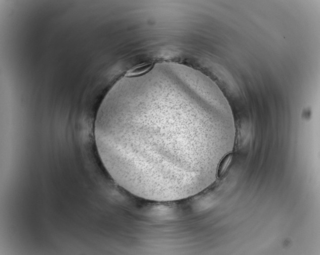 X0000102360236200808151820