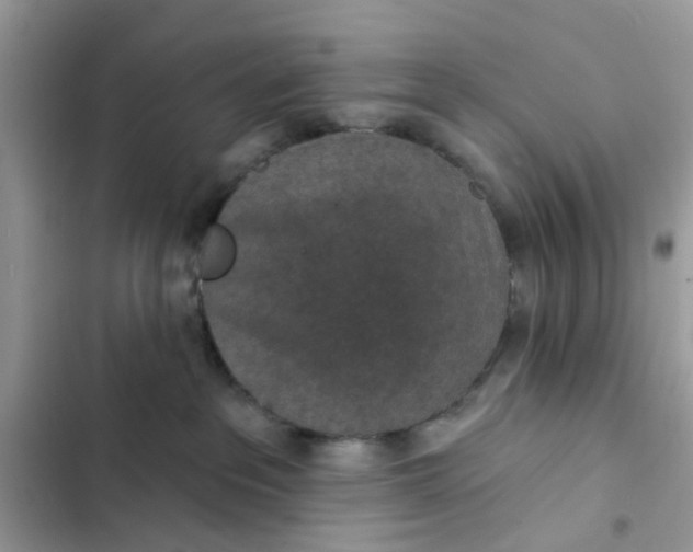 X0000102360237200808151820