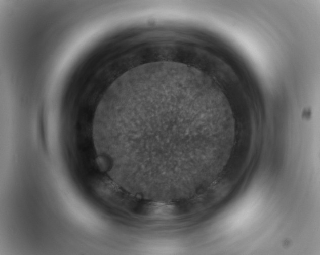 X0000102360239200808151820