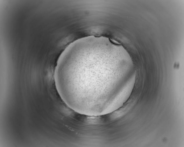 X0000102360240200808151820