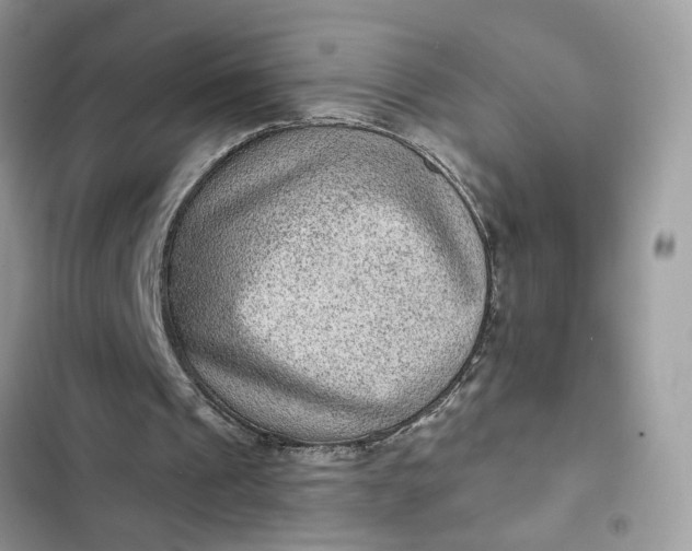 X0000102360241200808151819