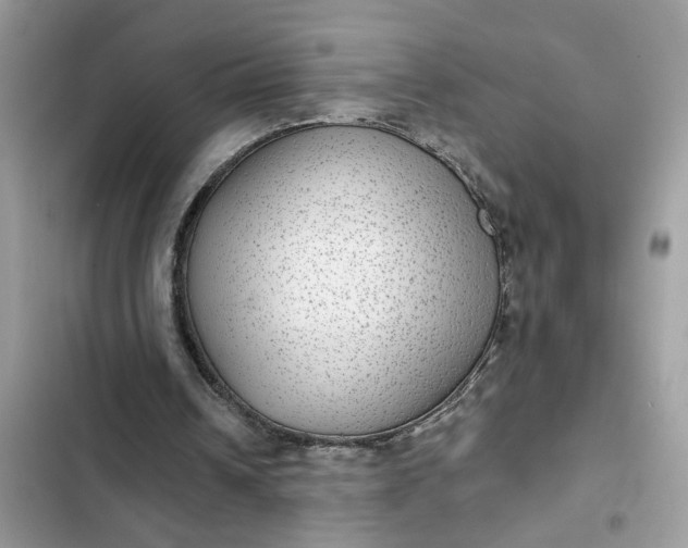 X0000102360242200808151819