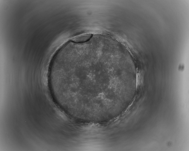 X0000102360243200808151819