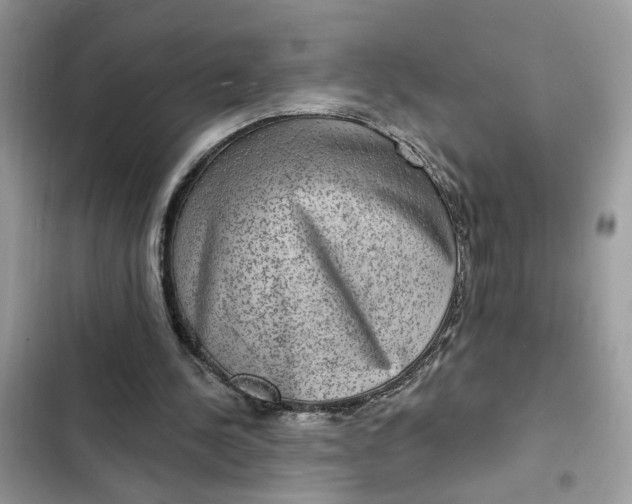 X0000102360244200808151819