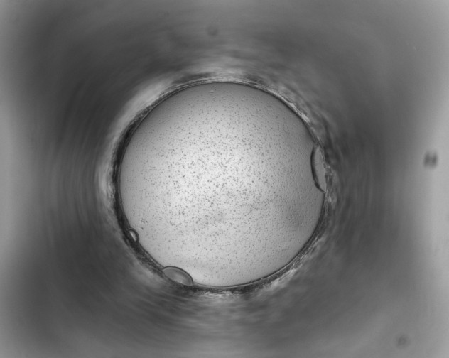 X0000102360245200808151819