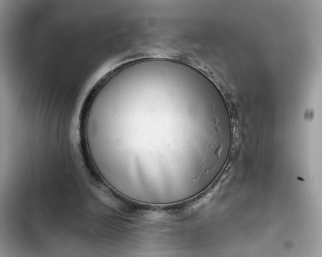 X0000102360246200808151819