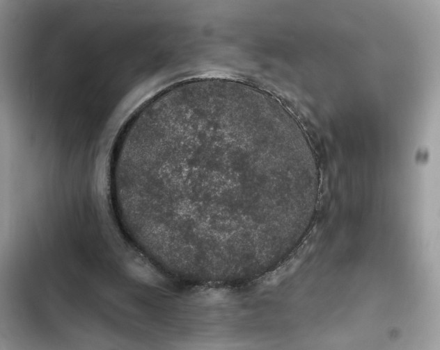 X0000102360247200808151819