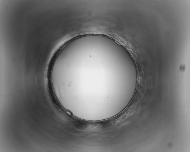 X0000102360248200808151819