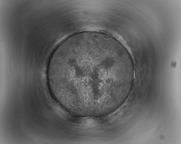 X0000102360249200808151819