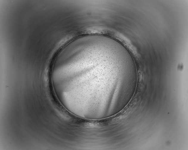 X0000102360250200808151819