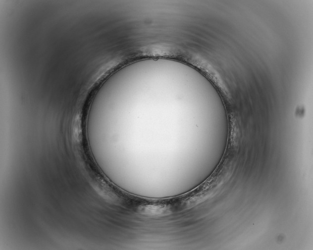 X0000102360251200808151819