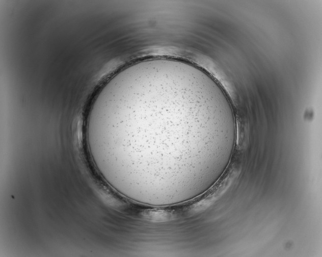 X0000102360253200808151819