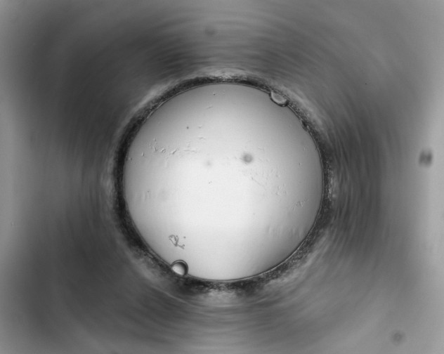 X0000102360256200808151819