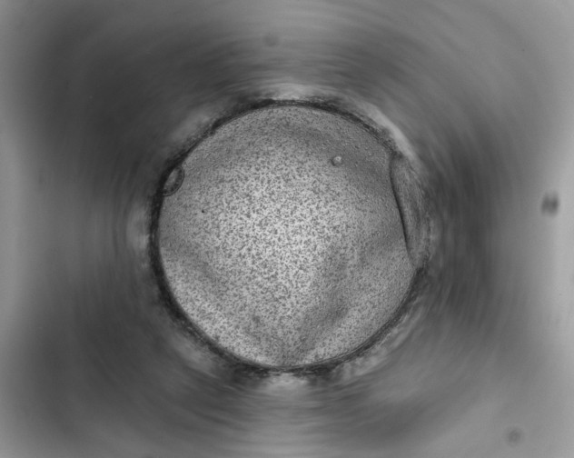 X0000102360257200808151819