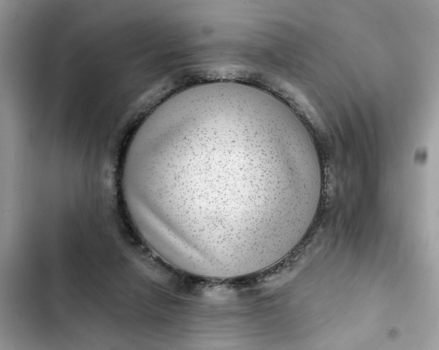 X0000102360258200808151819