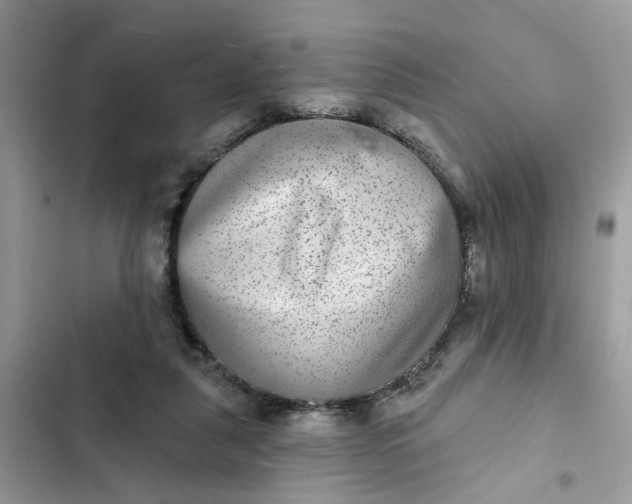 X0000102360259200808151819