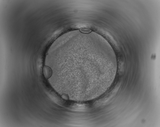 X0000102360260200808151819