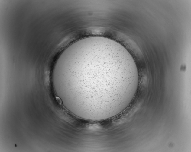 X0000102360262200808151819