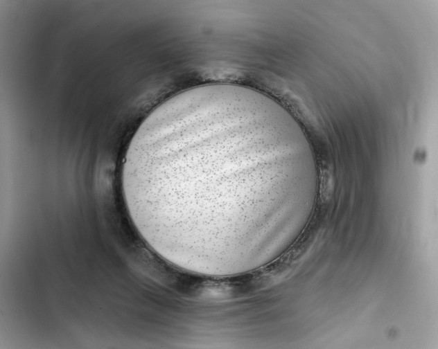 X0000102360263200808151819