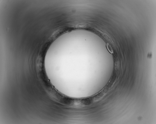 X0000102360264200808151819