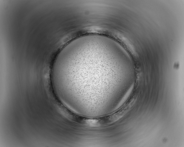 X0000102360265200808151819