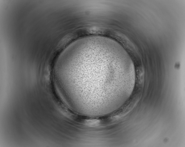 X0000102360266200808151819