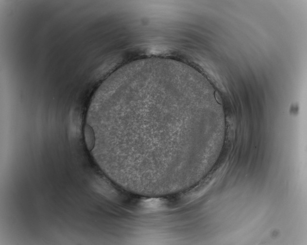 X0000102360269200808151819