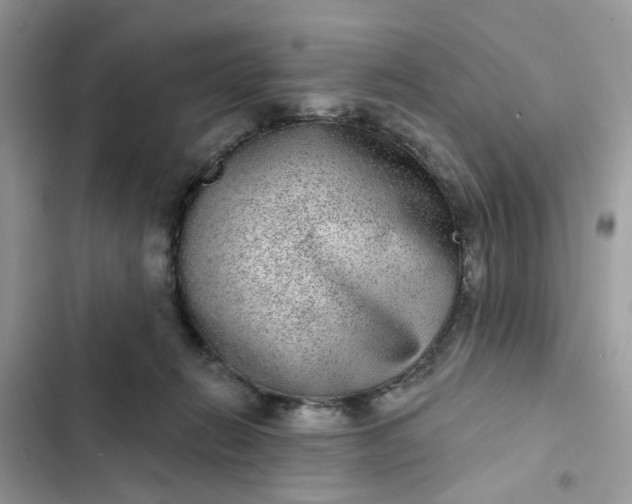 X0000102360270200808151819