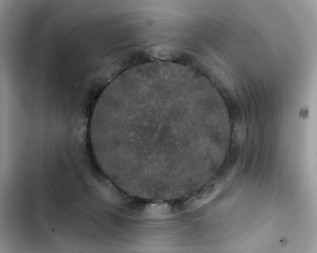 X0000102360271200808151819