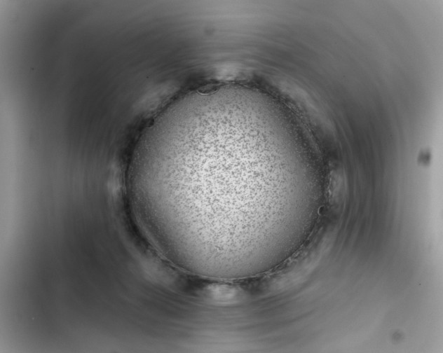 X0000102360272200808151819