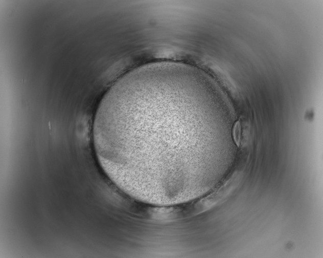 X0000102360273200808151819