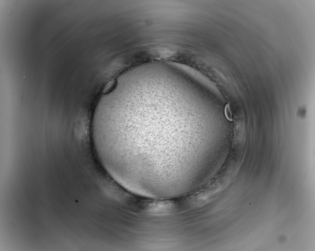 X0000102360274200808151819