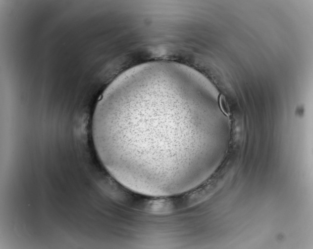 X0000102360275200808151819