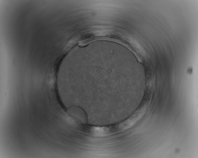 X0000102360277200808151819