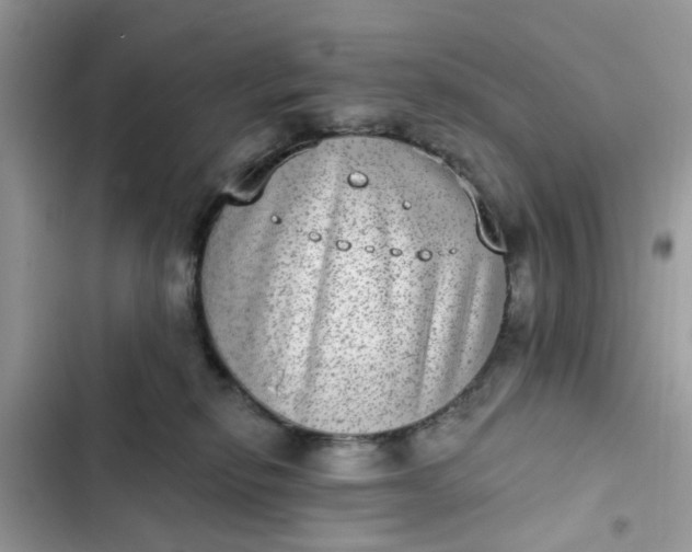 X0000102360278200808151819