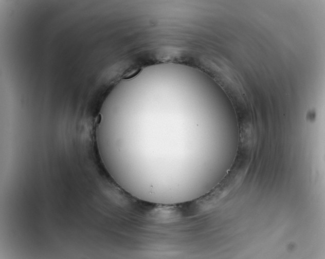 X0000102360280200808151819