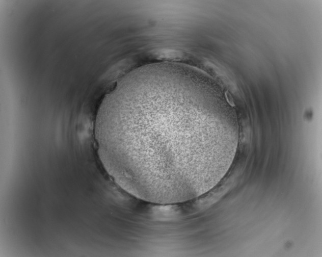 X0000102360281200808151819