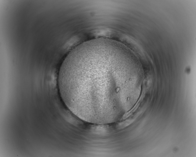 X0000102360282200808151820