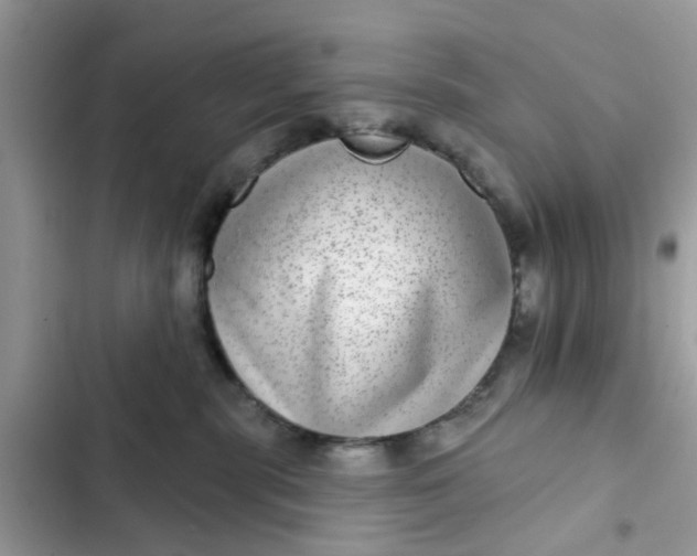 X0000102360283200808151820