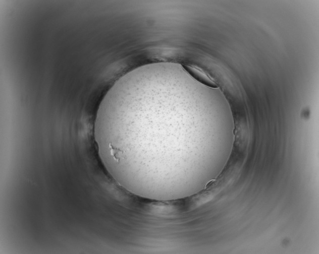 X0000102360284200808151820