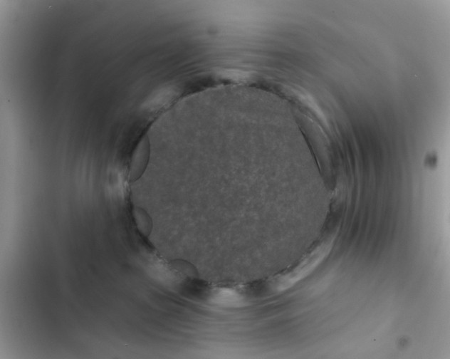 X0000102360285200808151820